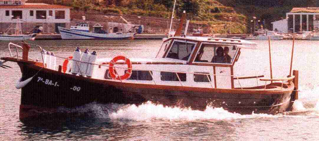 bini.JPG (44893 bytes)